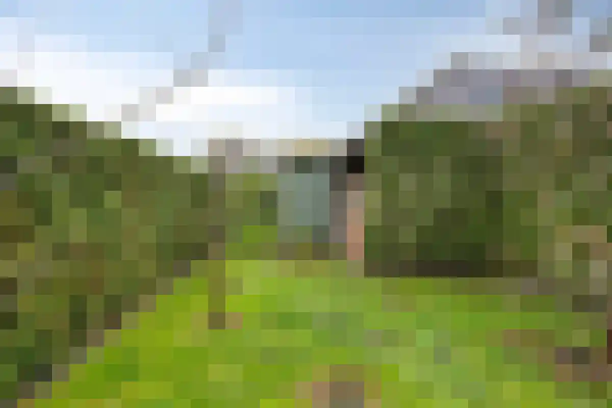 De Bruilweg 10 Ter Apel thumbnail 52
