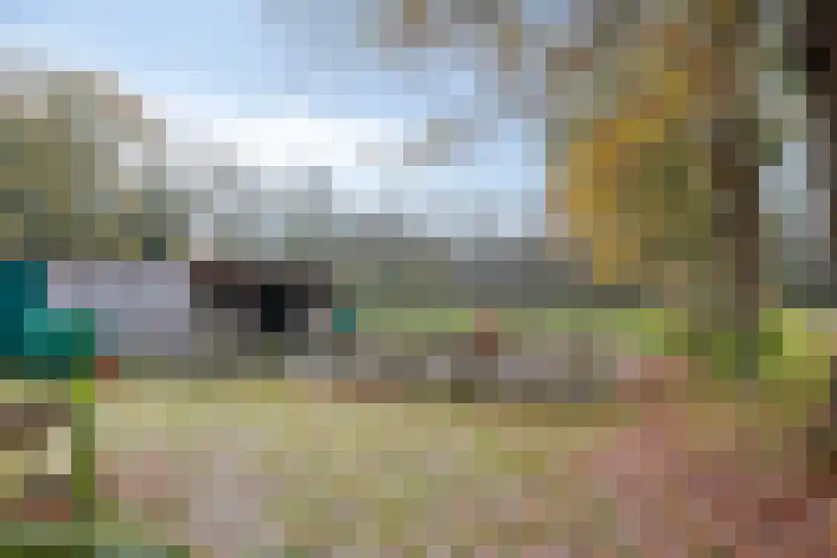 De Bruilweg 10 Ter Apel thumbnail 53