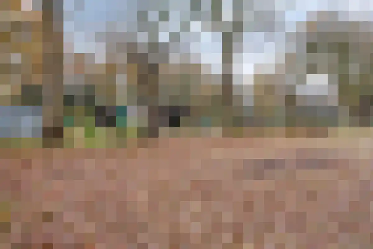 De Bruilweg 10 Ter Apel thumbnail 54