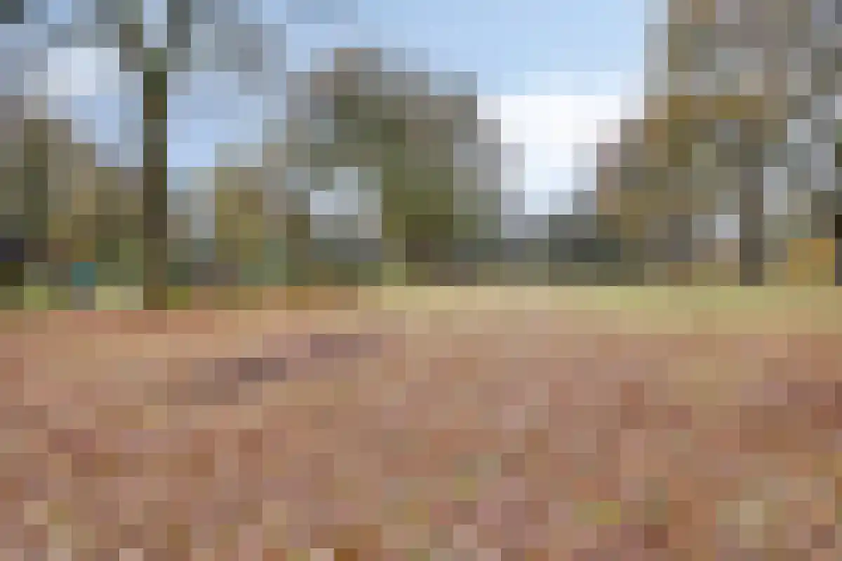 De Bruilweg 10 Ter Apel thumbnail 55