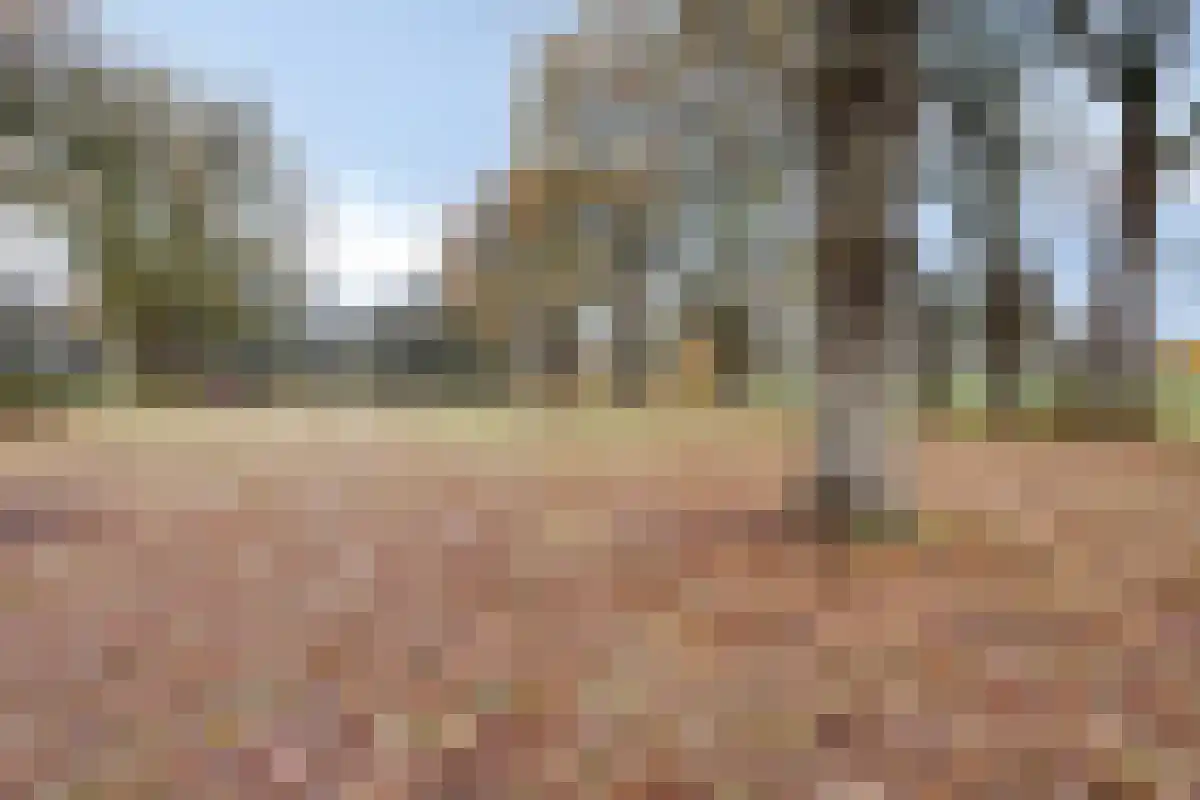 De Bruilweg 10 Ter Apel thumbnail 56