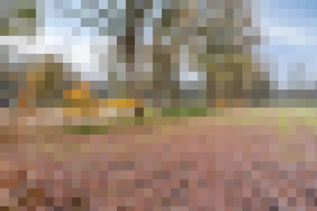 De Bruilweg 10 Ter Apel thumbnail 57