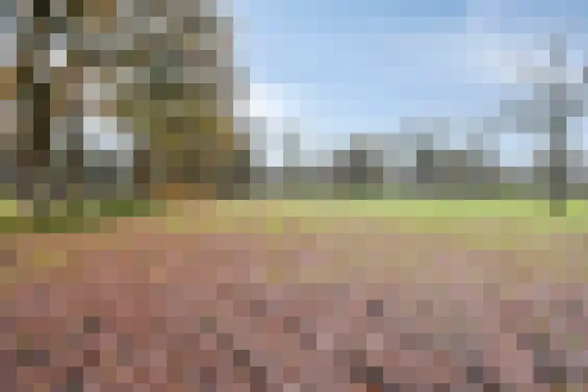 De Bruilweg 10 Ter Apel thumbnail 58