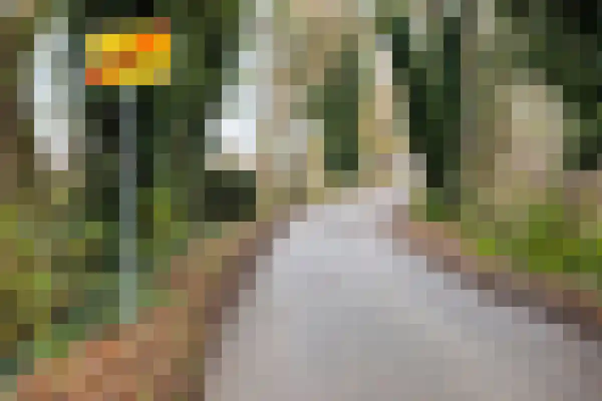 De Bruilweg 10 Ter Apel thumbnail 6