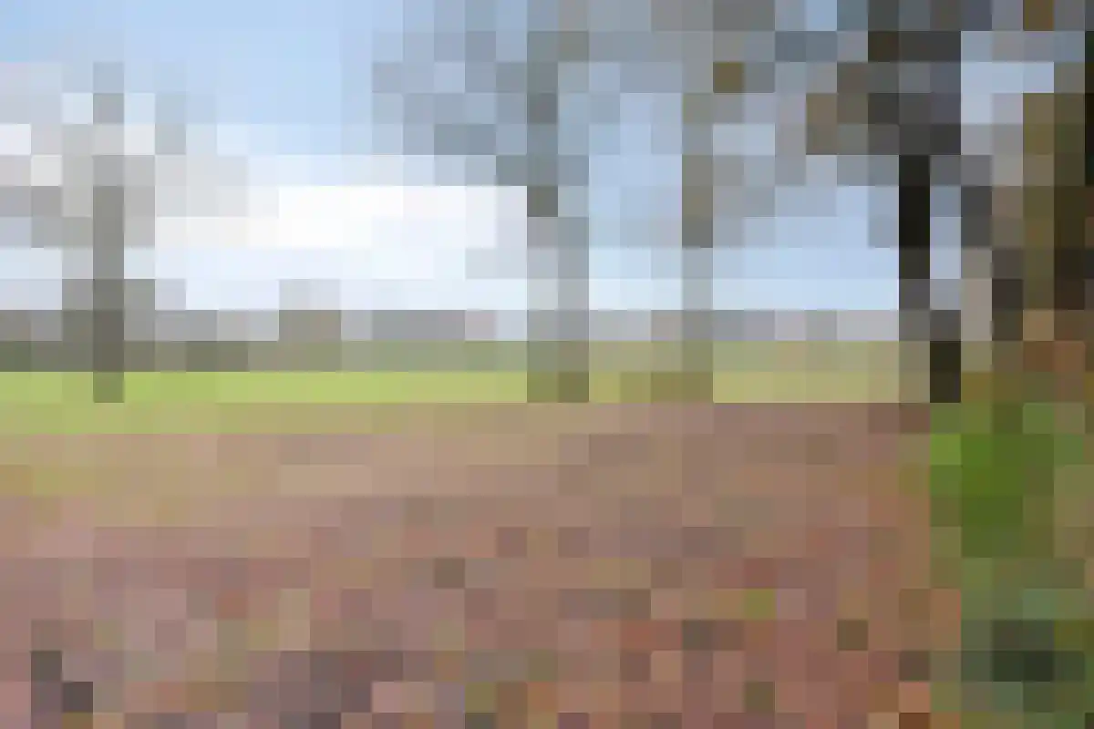 De Bruilweg 10 Ter Apel thumbnail 60