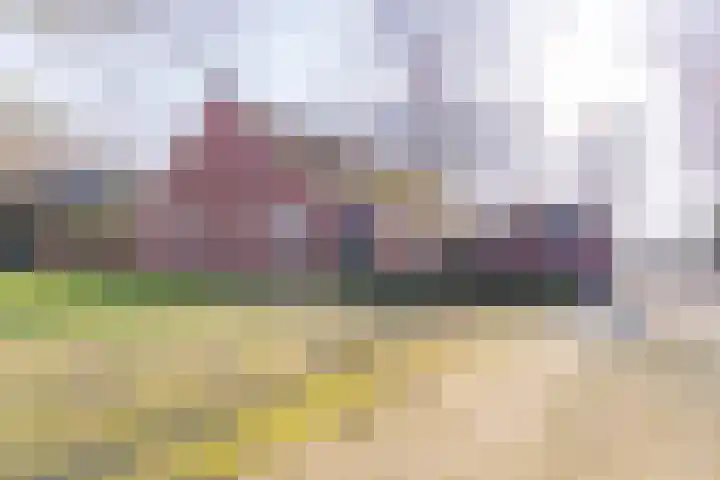 De Bruilweg 8 in Ter Apel