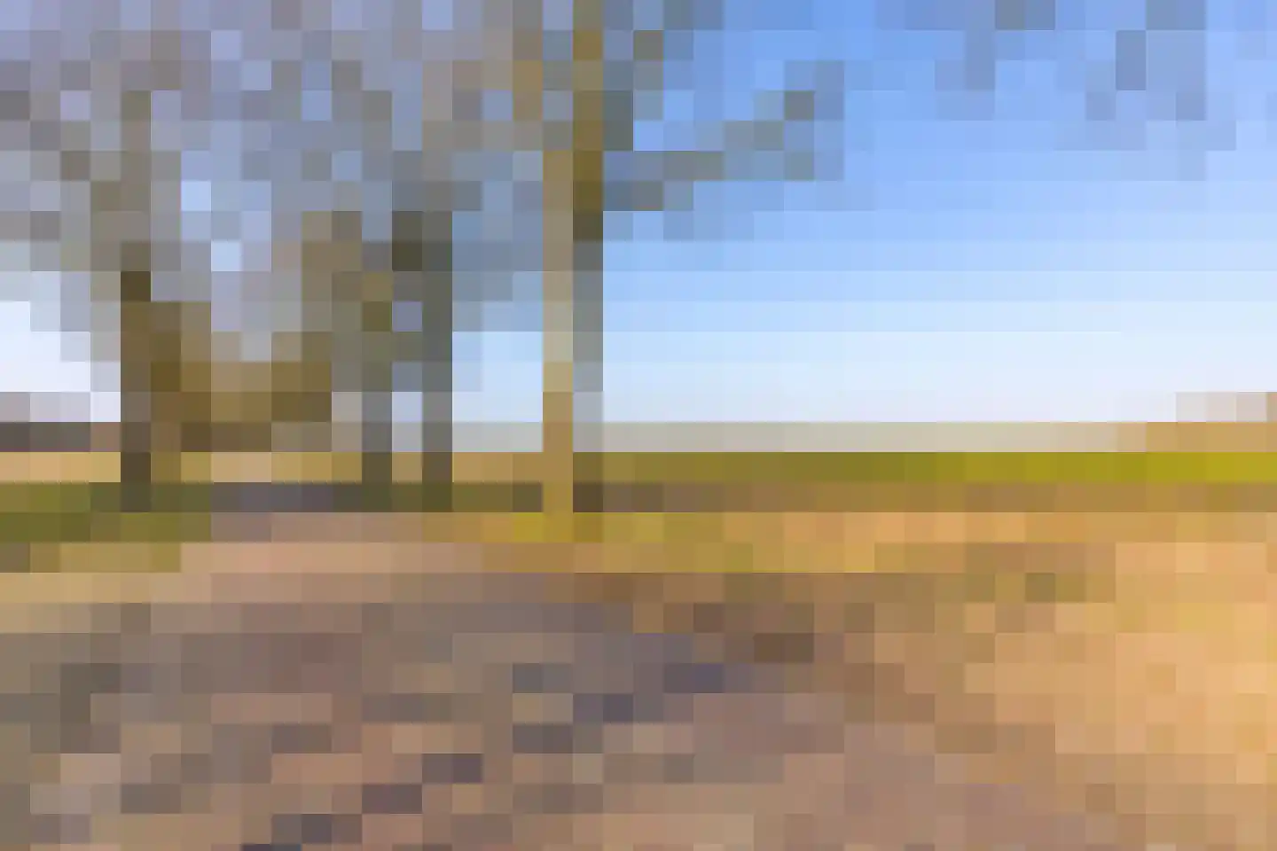 De Bruilweg 8 Ter Apel thumbnail 4