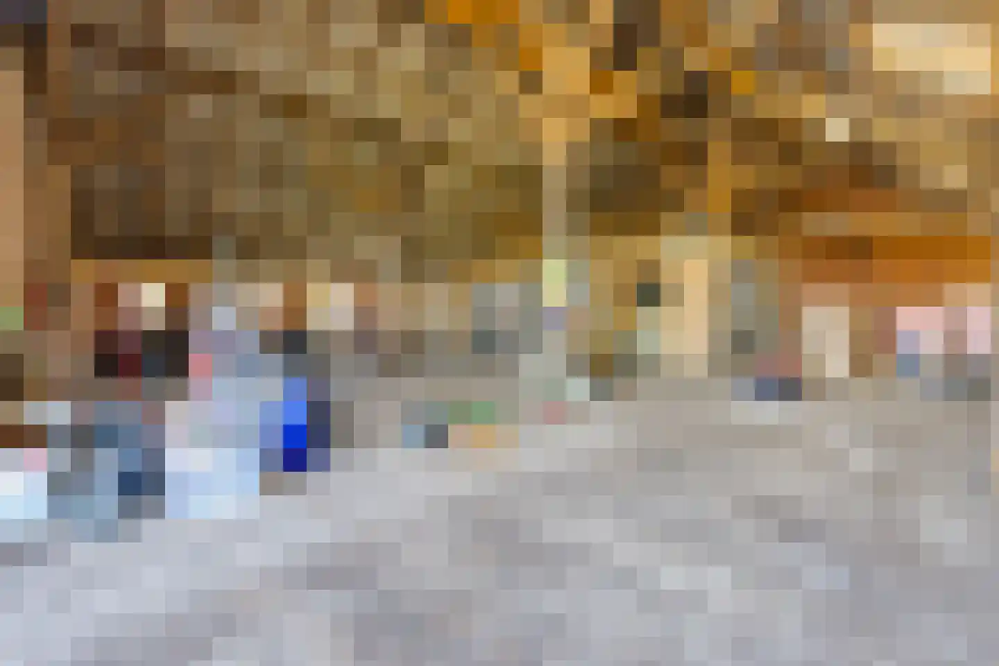 De Bruilweg 8 Ter Apel thumbnail 42
