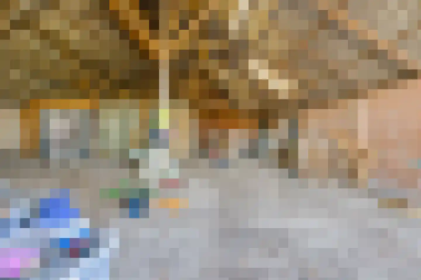 De Bruilweg 8 Ter Apel thumbnail 43