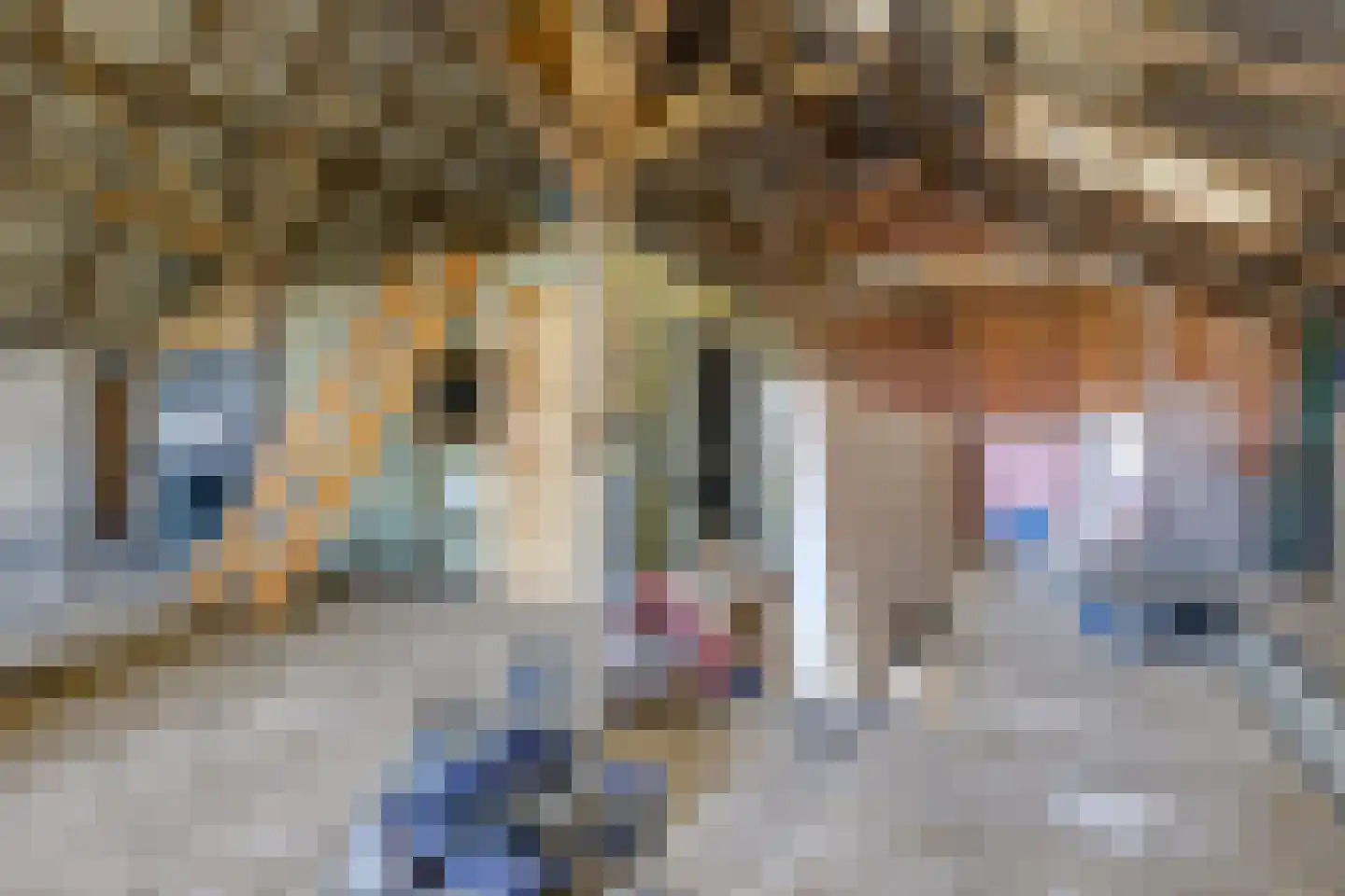 De Bruilweg 8 Ter Apel thumbnail 47