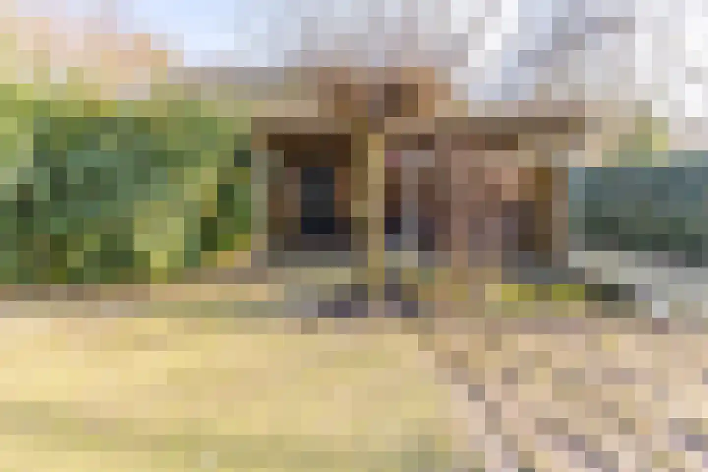 De Bruilweg 8 Ter Apel thumbnail 48