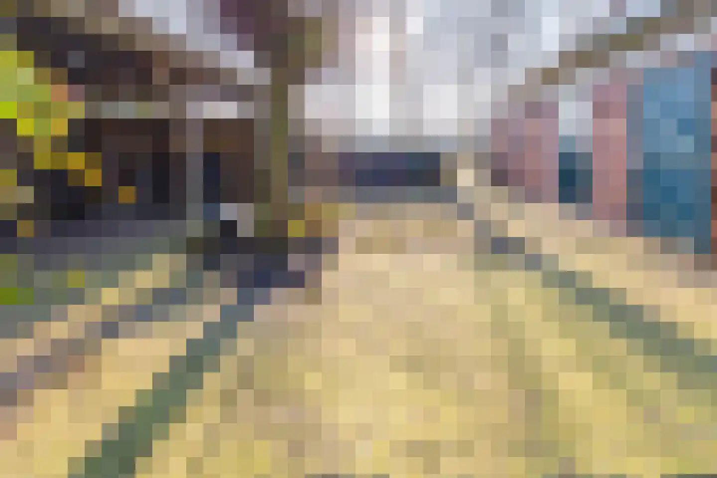 De Bruilweg 8 Ter Apel thumbnail 51