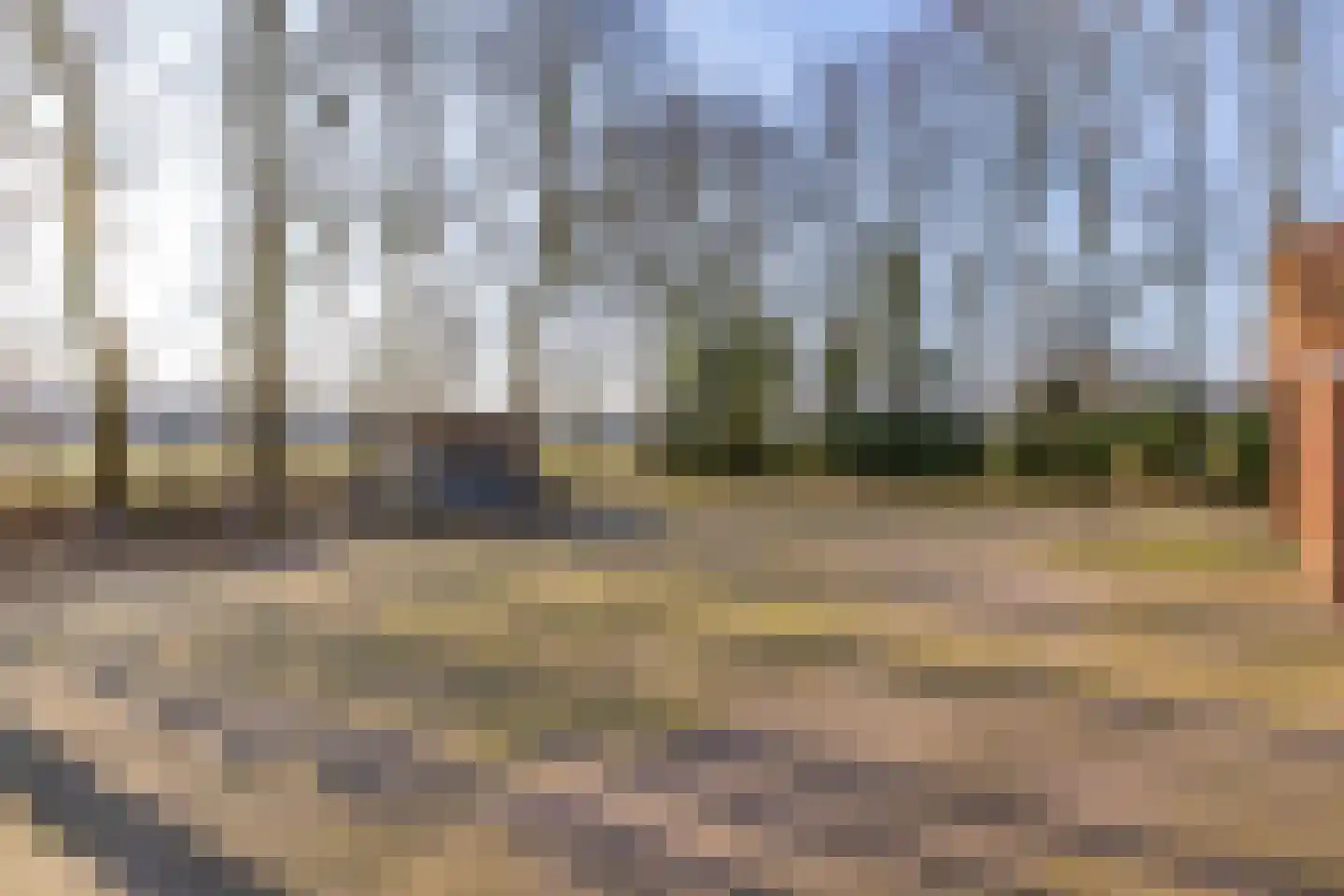 De Bruilweg 8 Ter Apel thumbnail 53