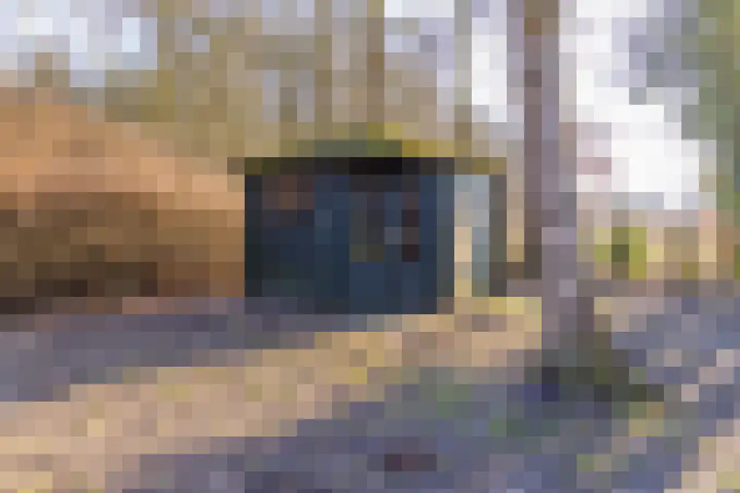 De Bruilweg 8 Ter Apel thumbnail 56