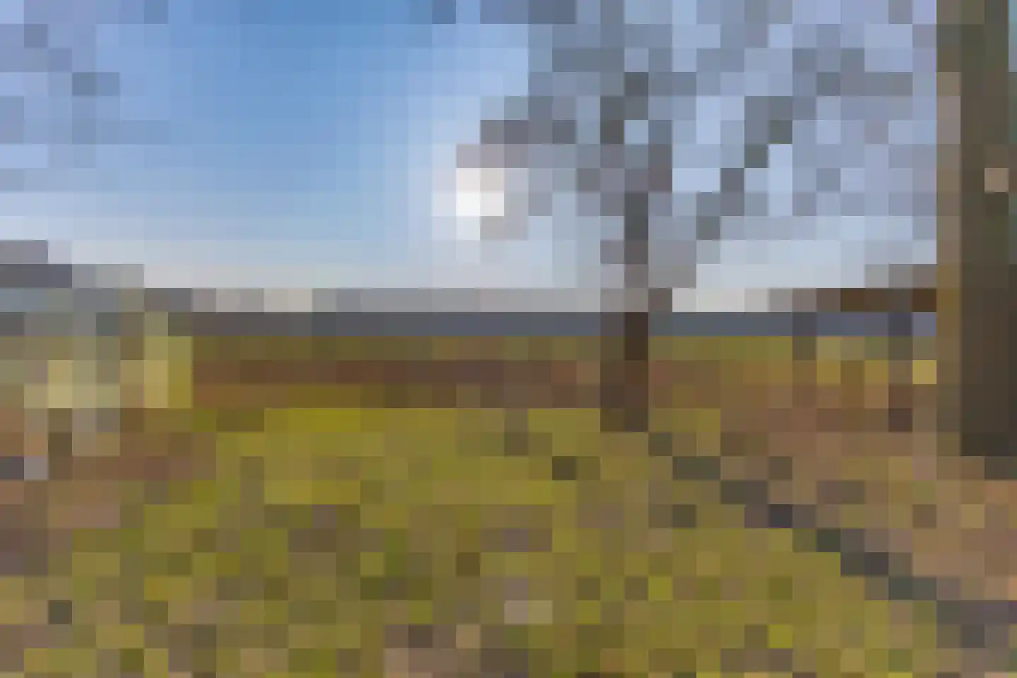 De Bruilweg 8 Ter Apel thumbnail 64