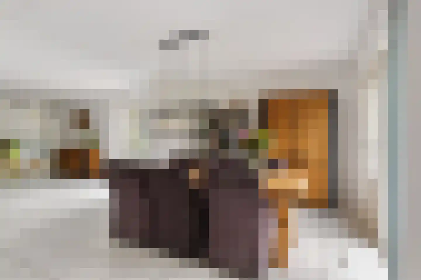 De Brussen 1 Appingedam thumbnail 10