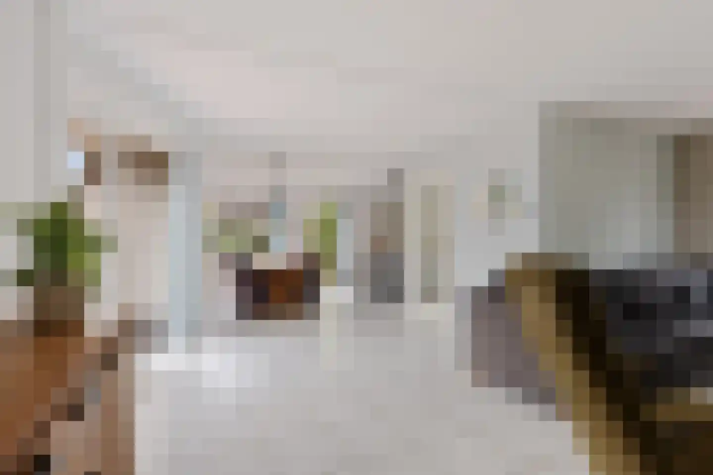 De Brussen 1 Appingedam thumbnail 18