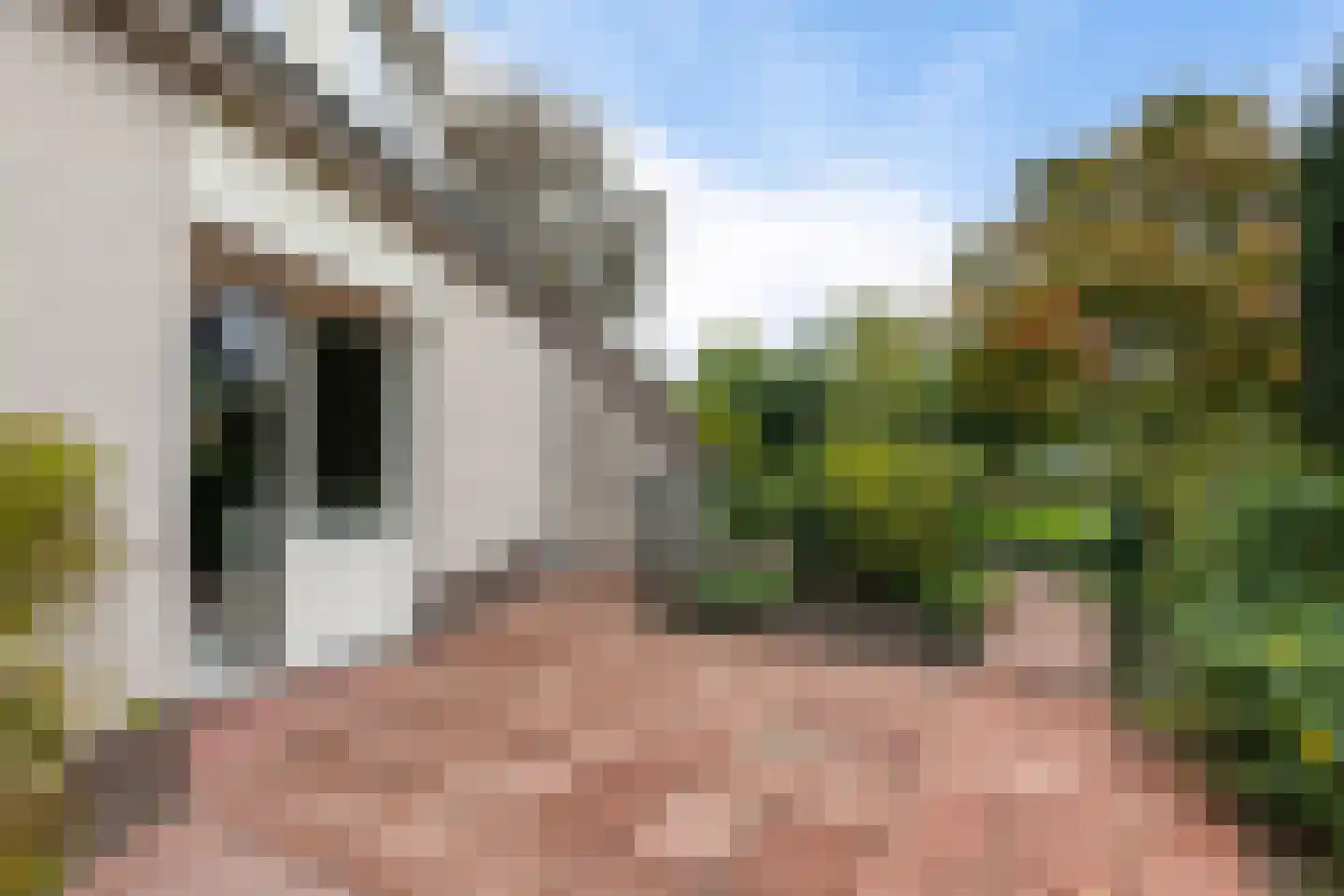 De Brussen 1 Appingedam thumbnail 38