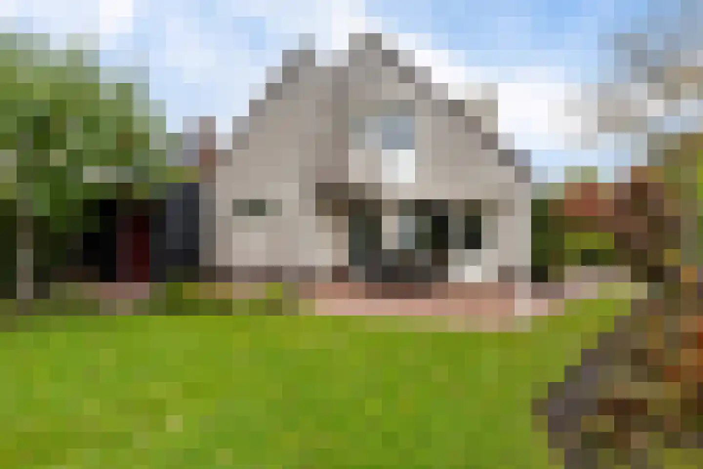 De Brussen 1 Appingedam thumbnail 4