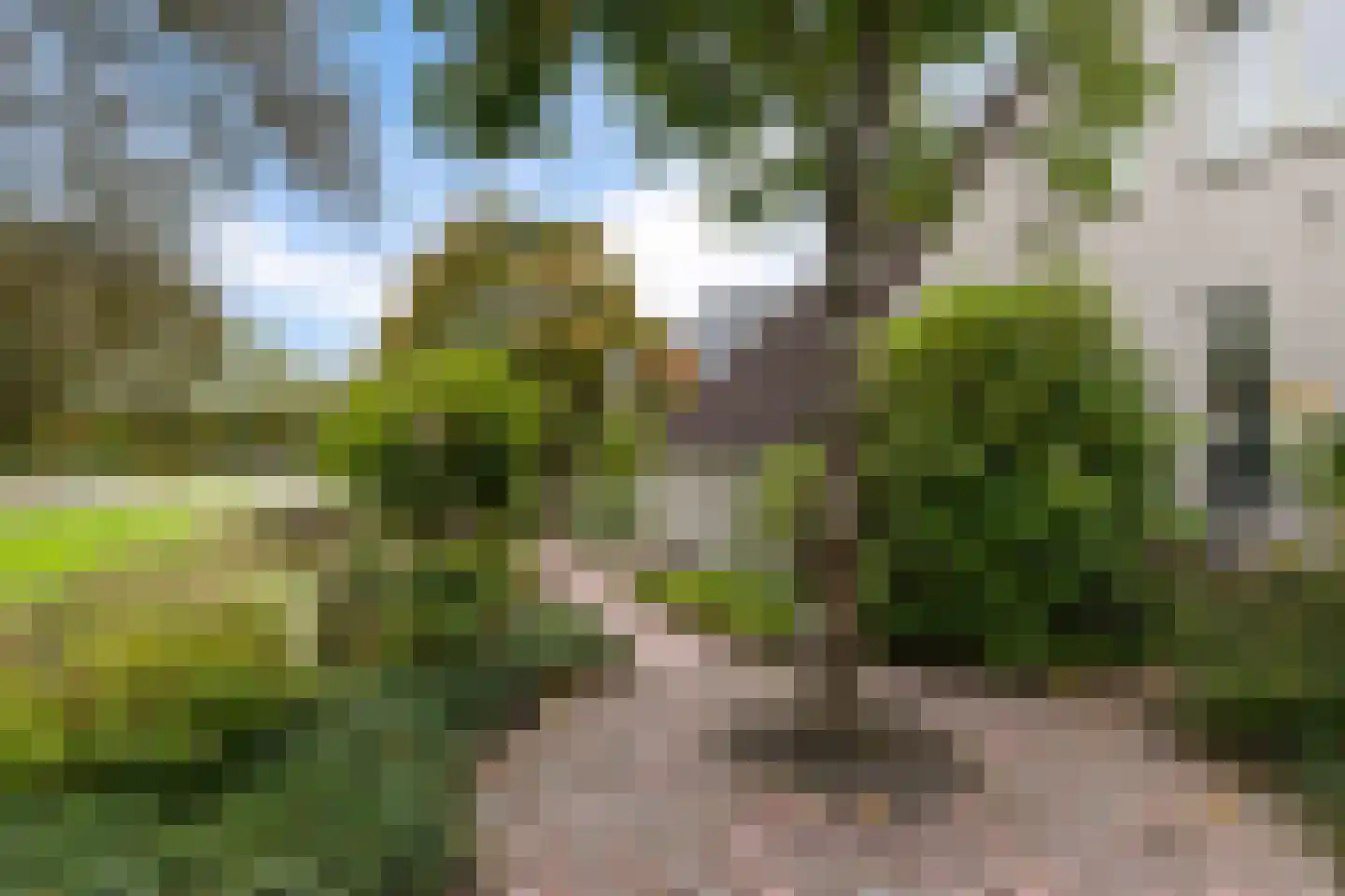 De Brussen 1 Appingedam thumbnail 41
