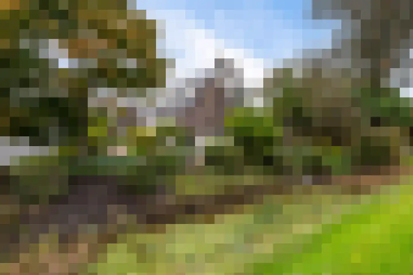 De Brussen 1 Appingedam thumbnail 42
