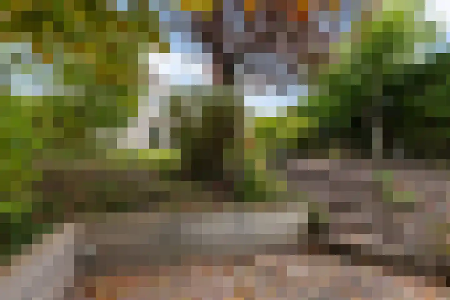 De Brussen 1 Appingedam thumbnail 43