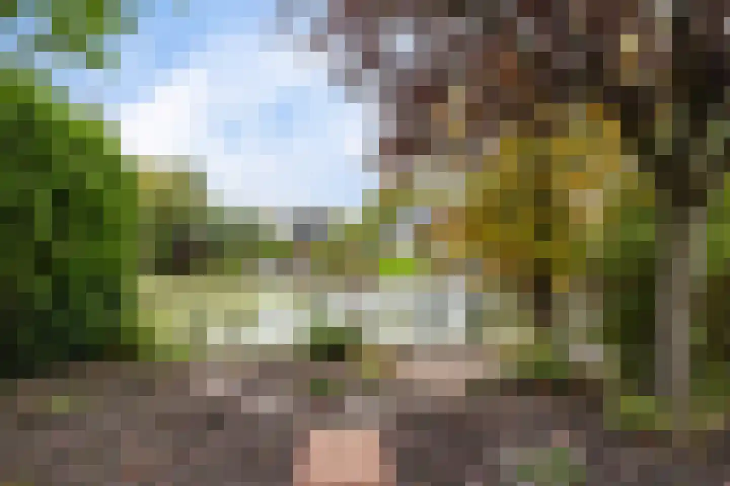 De Brussen 1 Appingedam thumbnail 44