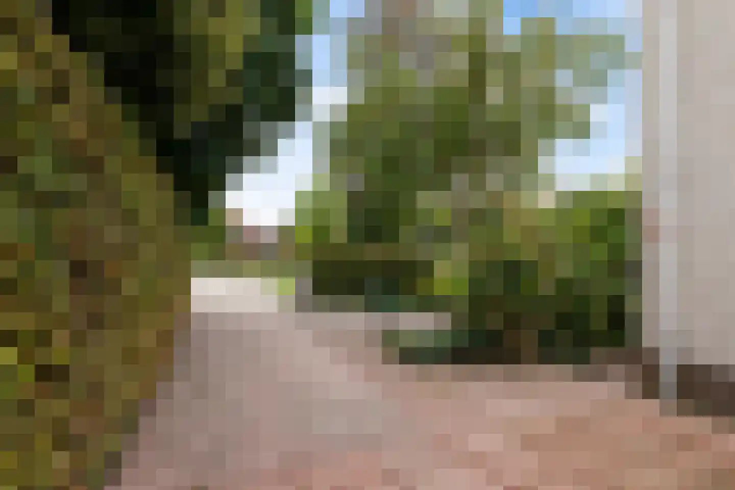 De Brussen 1 Appingedam thumbnail 47