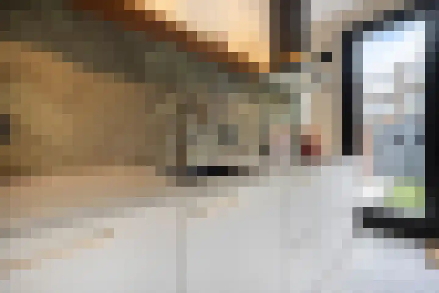 De Bruynestraat 13 Den Haag thumbnail 22