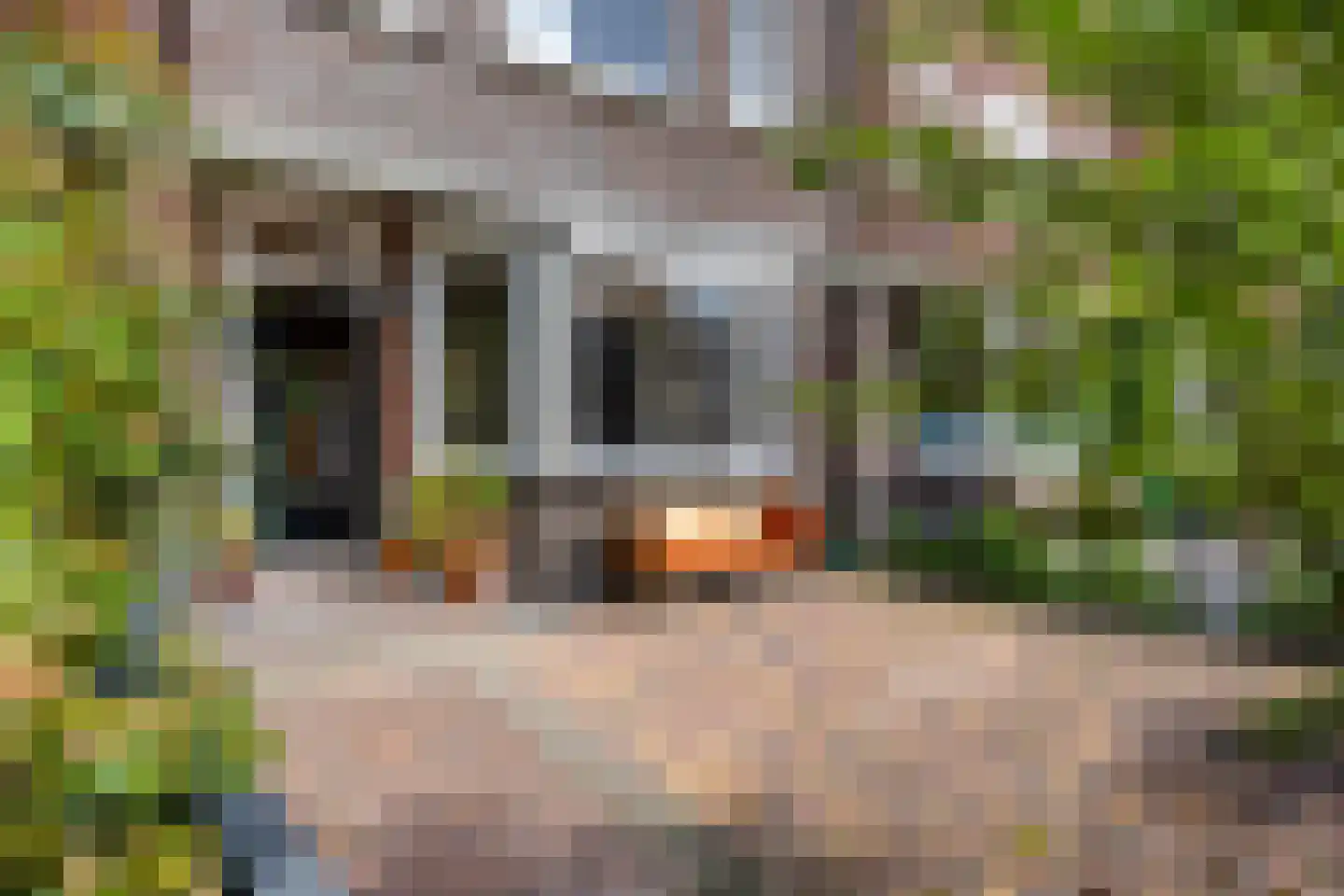 De Bruynestraat 13 Den Haag thumbnail 6