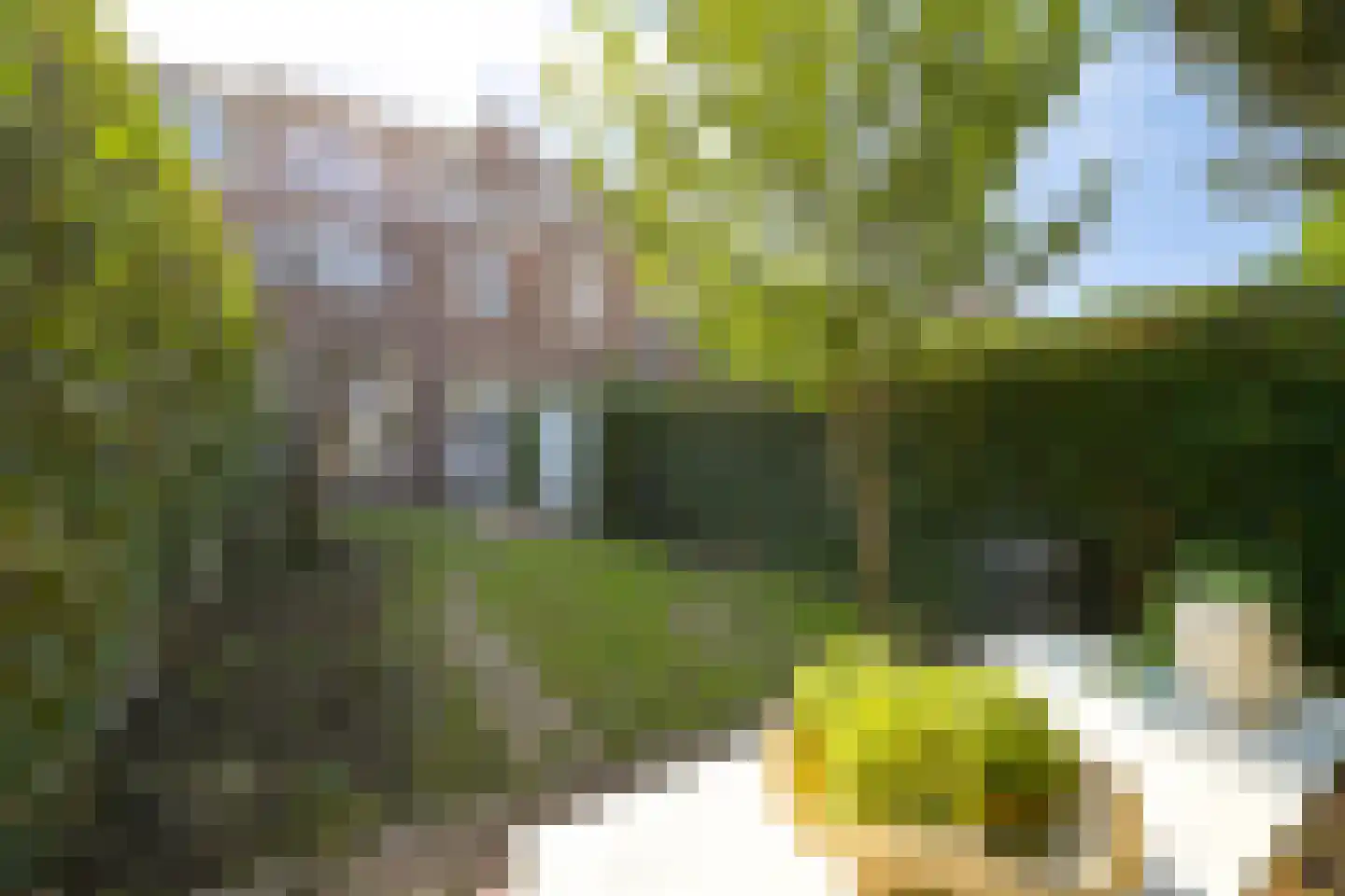 De Bruynestraat 47 Den Haag thumbnail 5