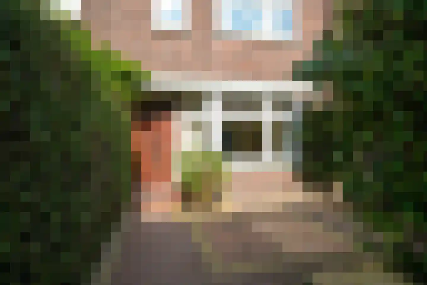 De Bruynestraat 47 Den Haag thumbnail 6