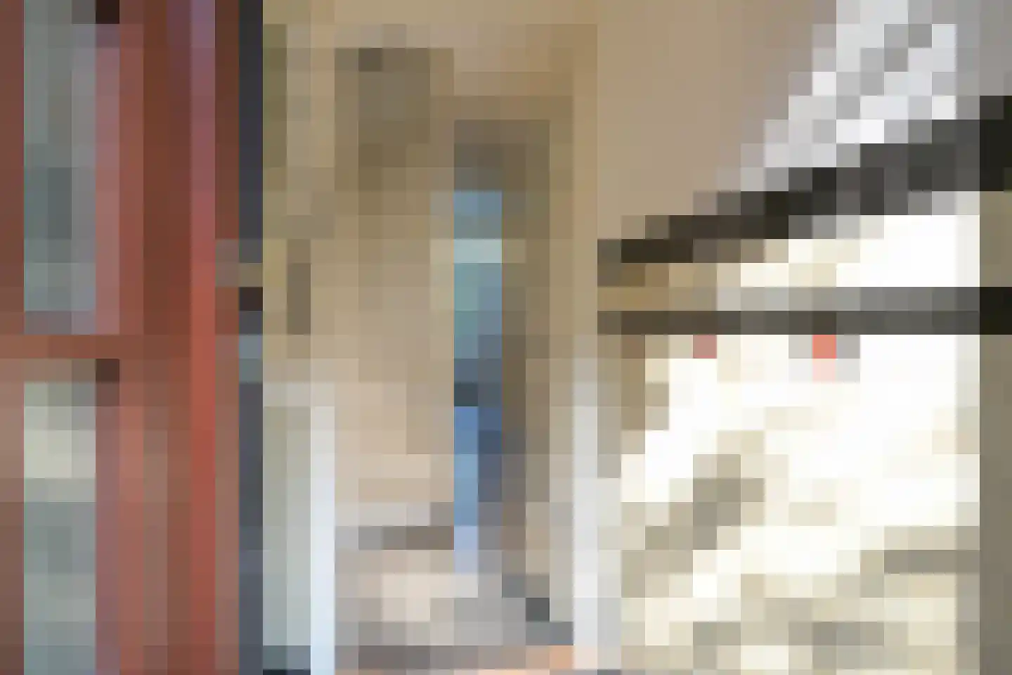 De Bruynestraat 47 Den Haag thumbnail 7