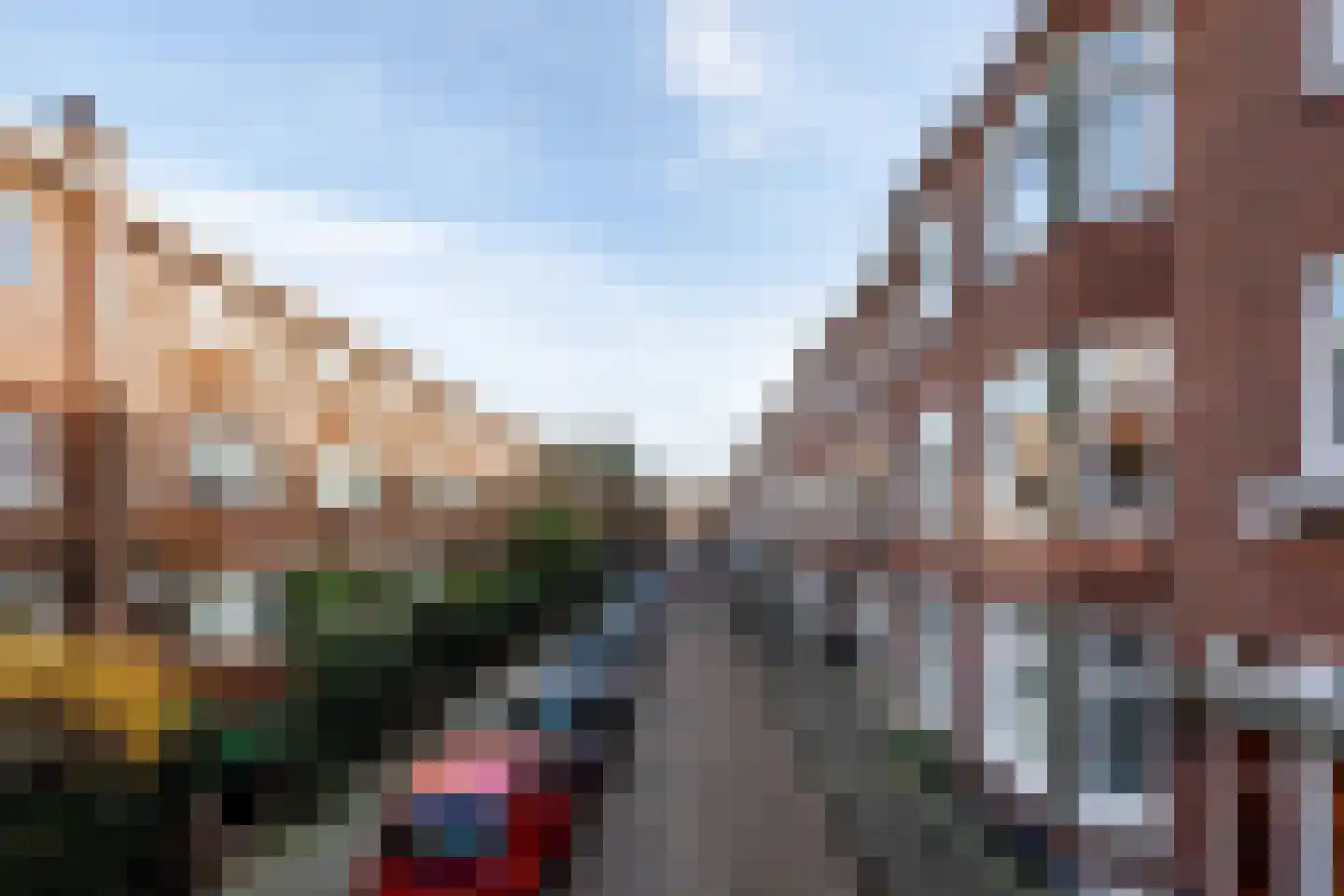 De Bruynestraat 50 Den Haag thumbnail 6