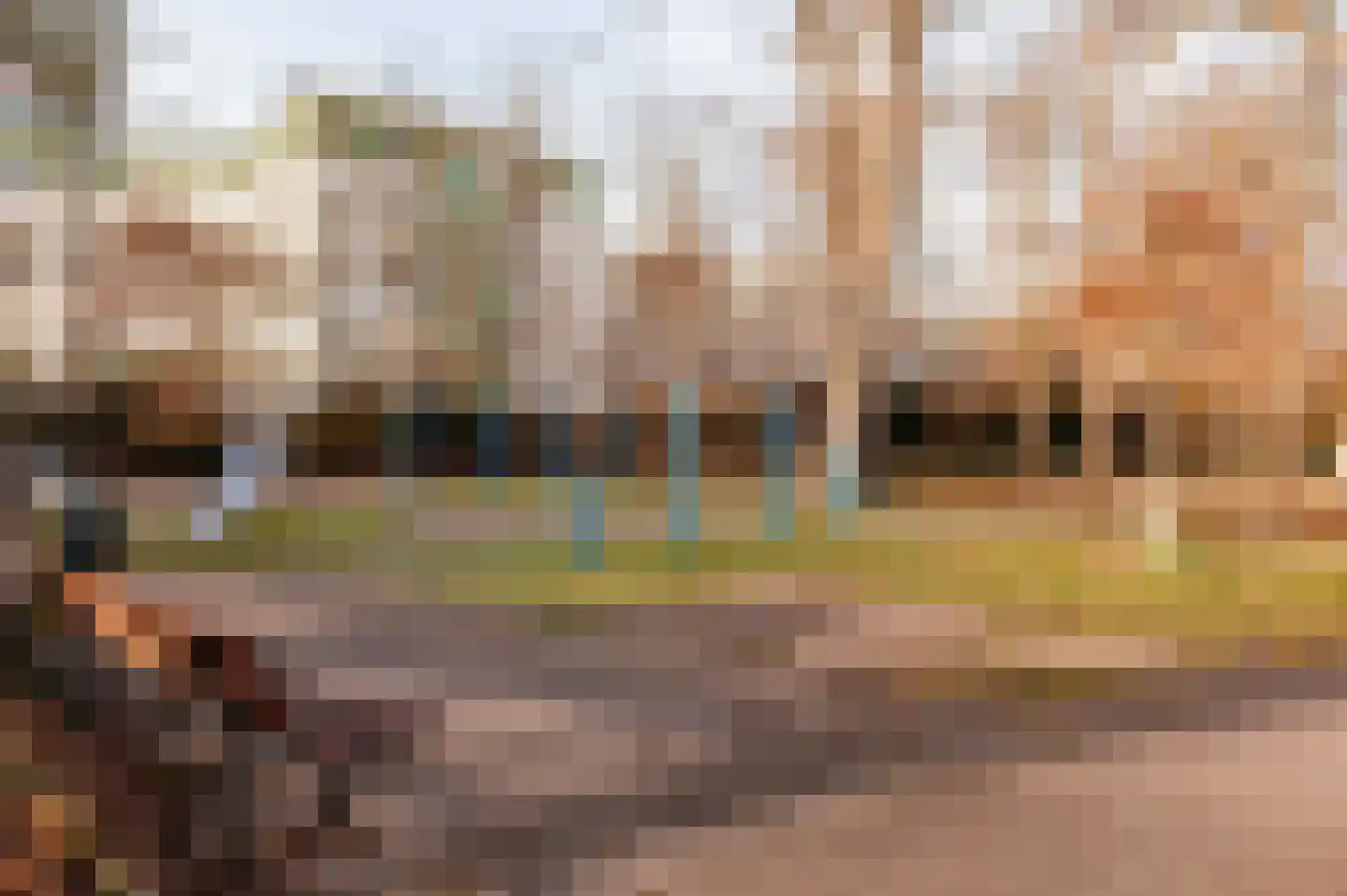 De Bruynestraat 50 Den Haag thumbnail 68