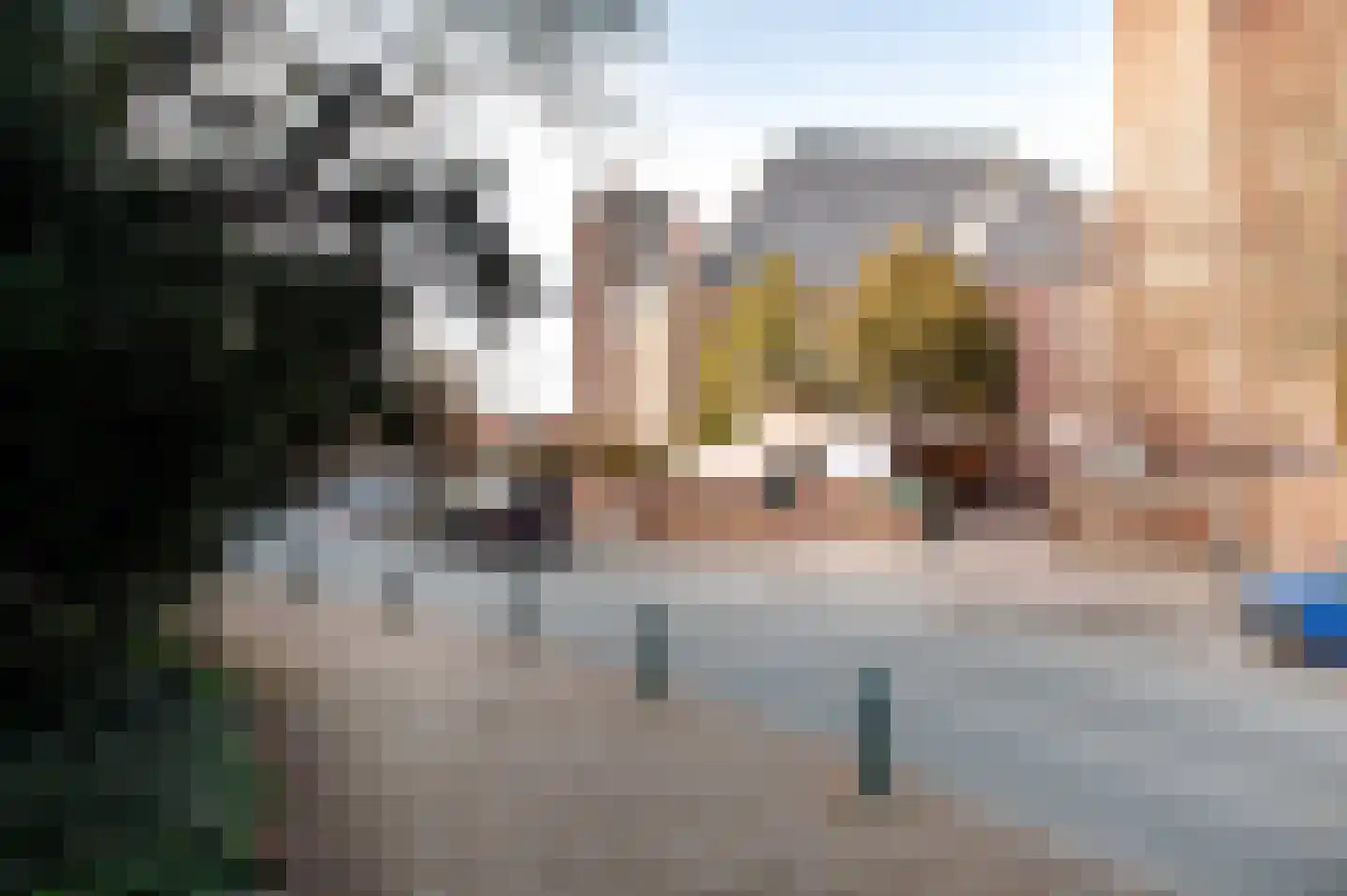De Bruynestraat 50 Den Haag thumbnail 69