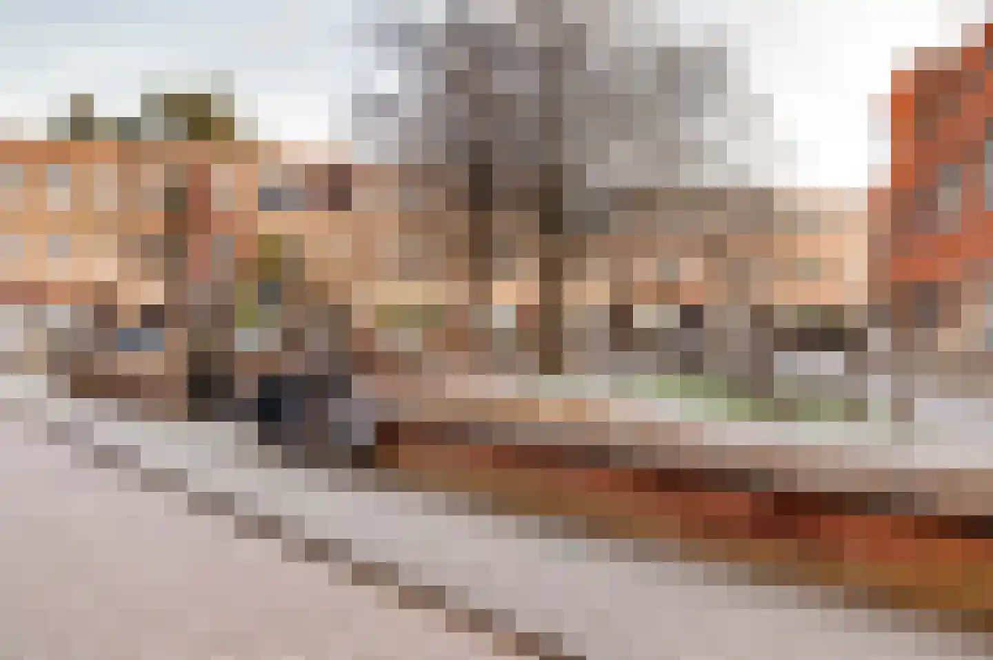 De Bruynestraat 50 Den Haag thumbnail 70