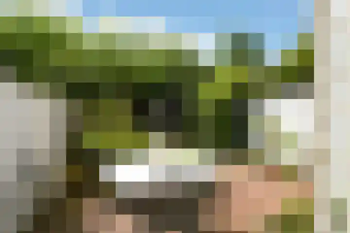 De Bruynestraat 54 in Den Haag