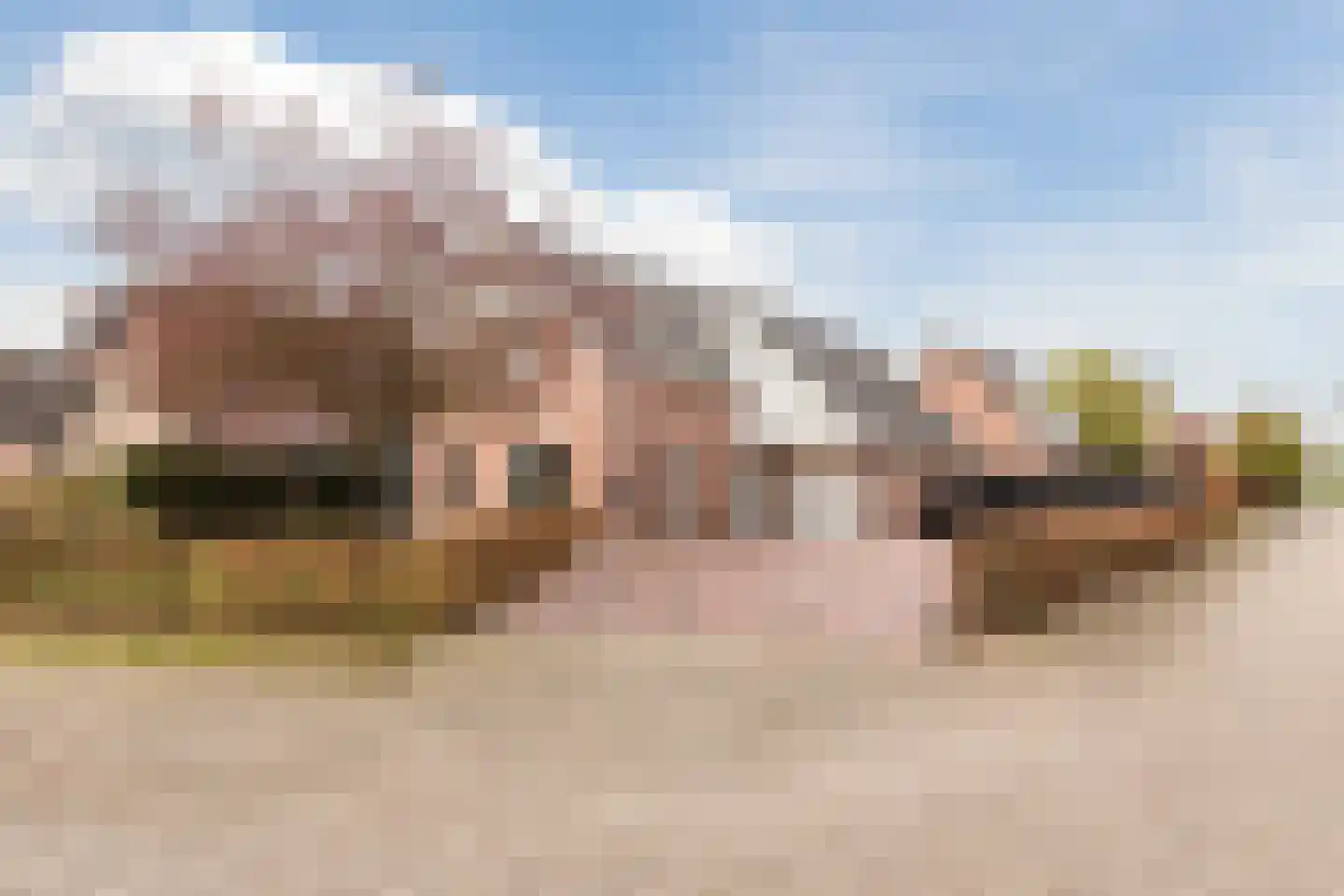de Bryde 21 en Netterden