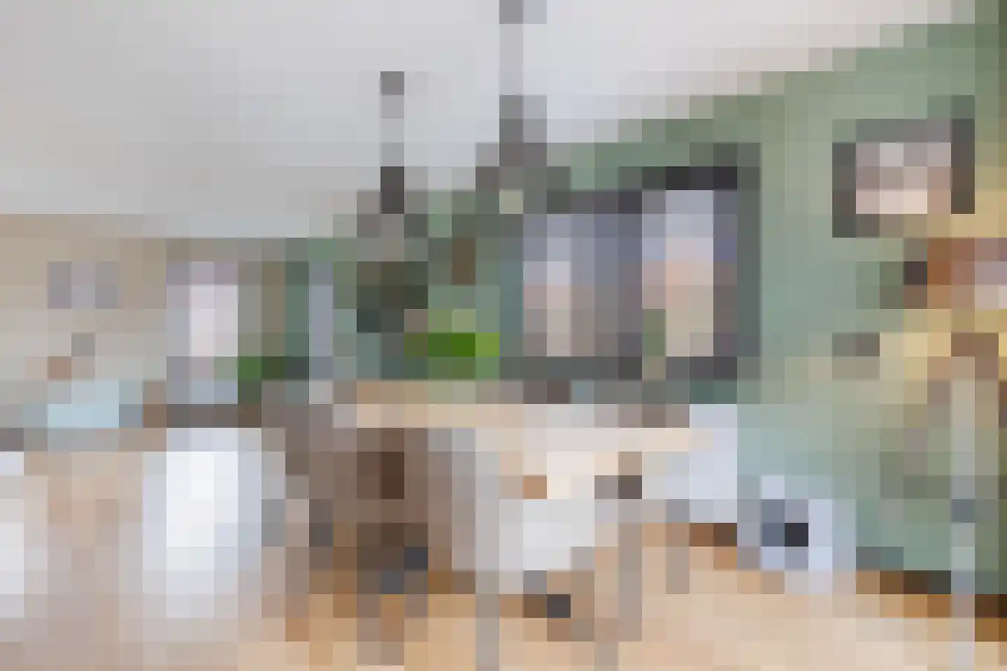 de Bryde 21 Netterden thumbnail 19