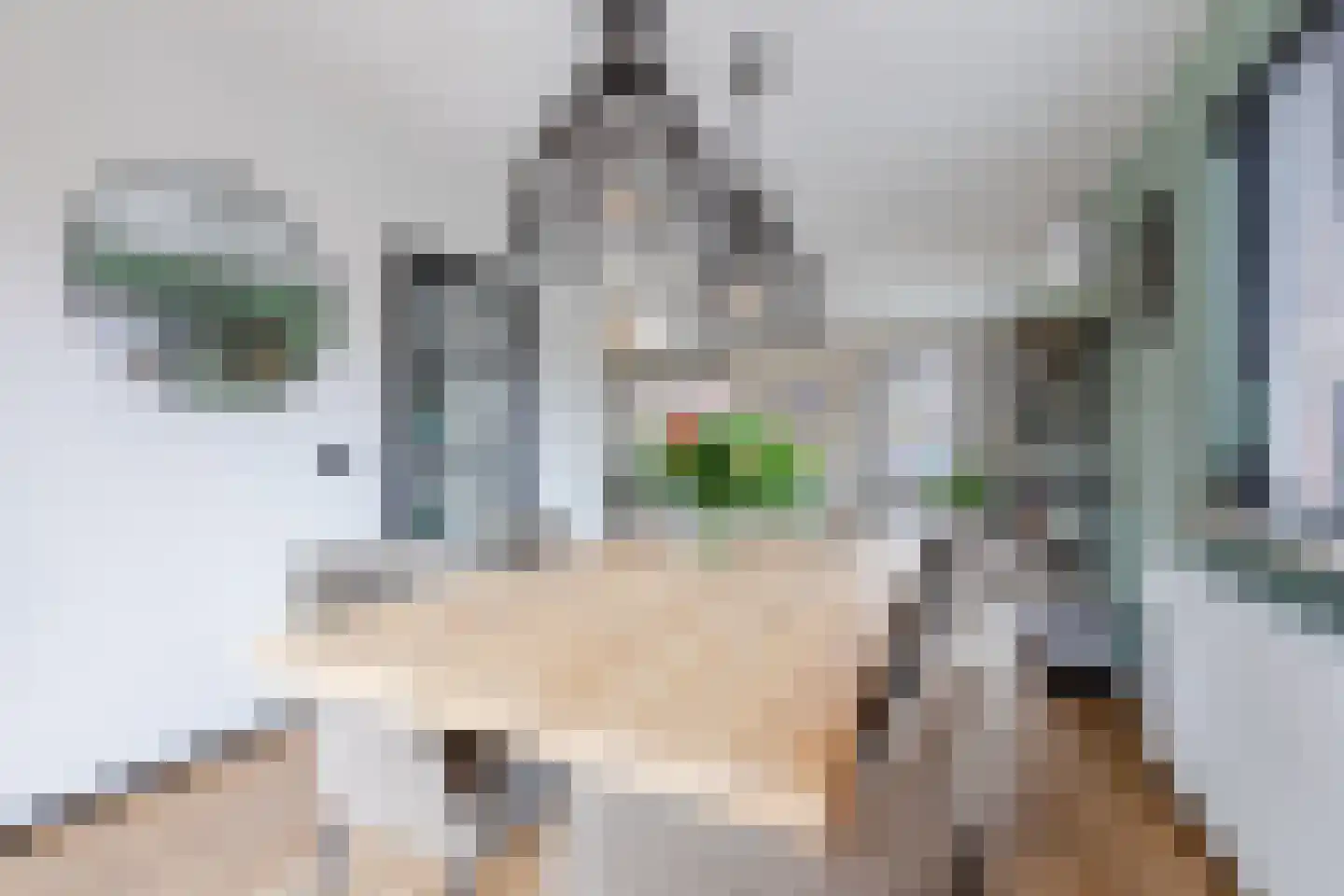 de Bryde 21 Netterden thumbnail 20