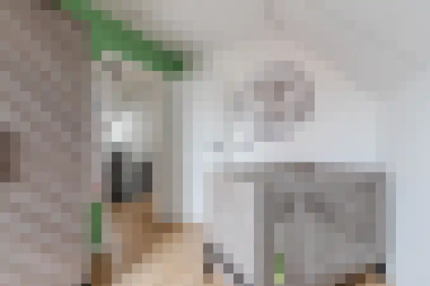de Bryde 21 Netterden thumbnail 38