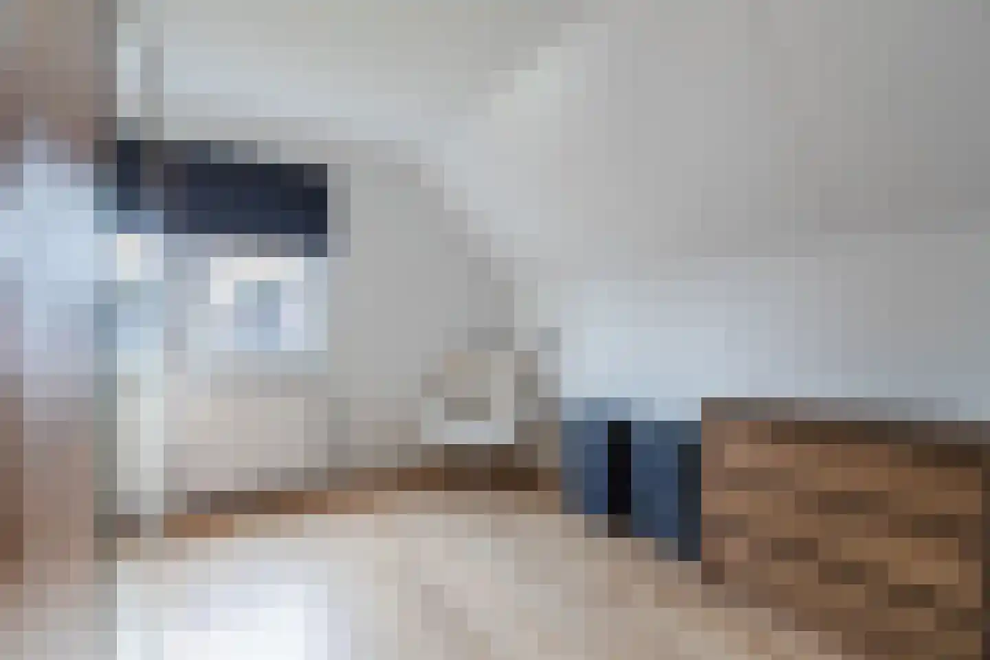 de Bryde 21 Netterden thumbnail 39