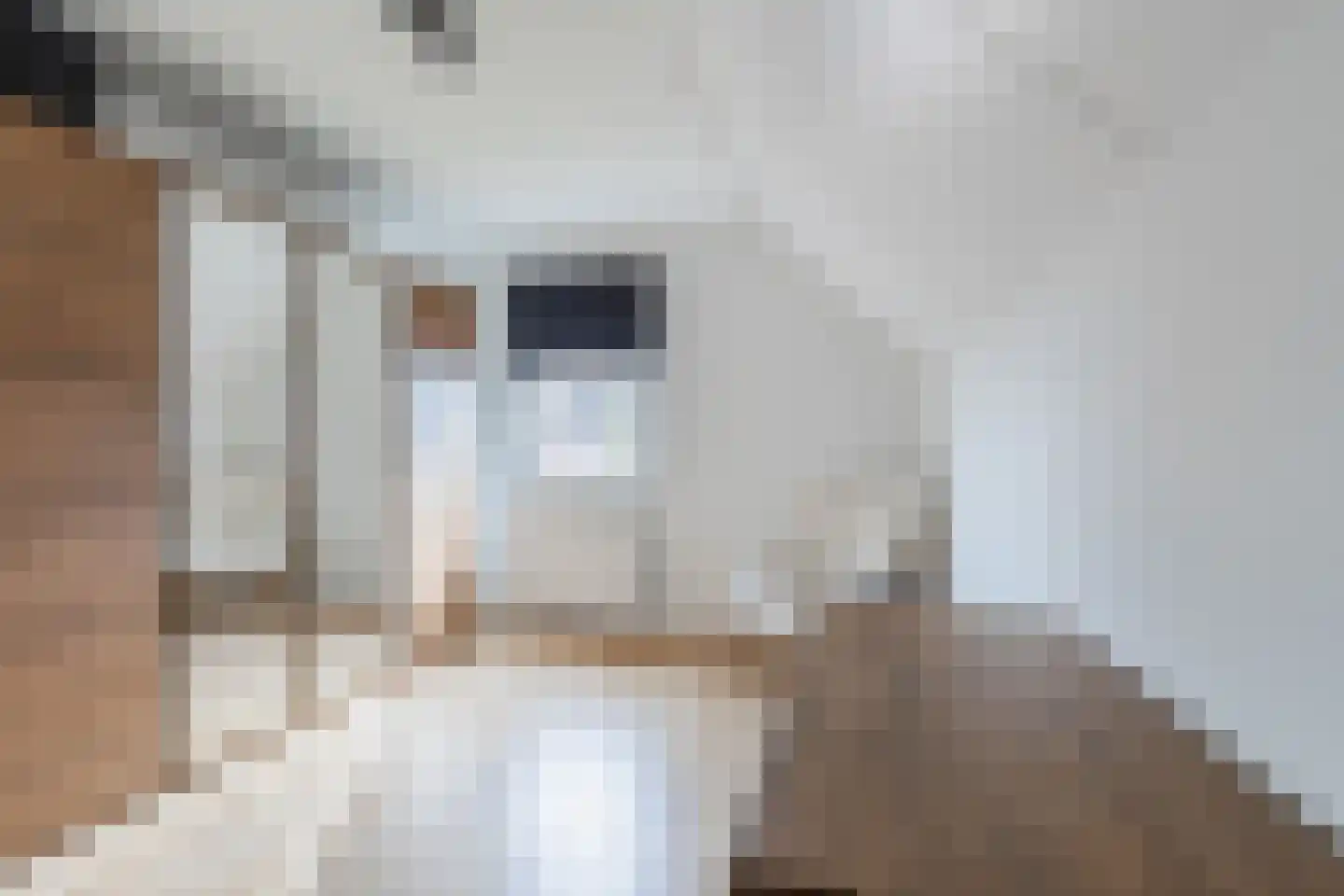 de Bryde 21 Netterden thumbnail 40