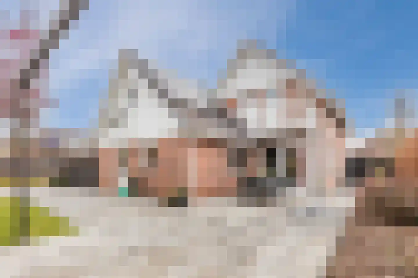 de Bryde 21 Netterden thumbnail 5
