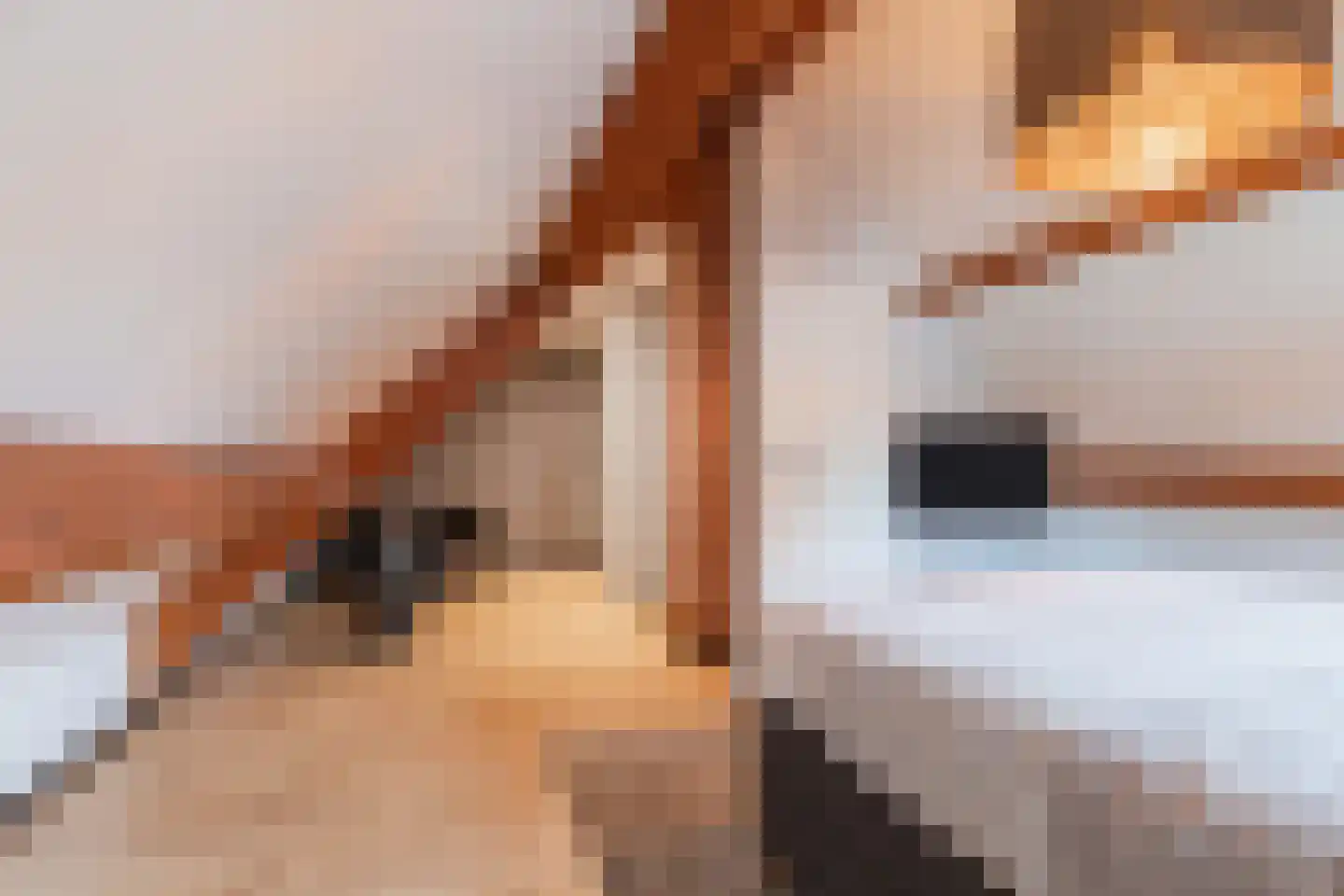 de Bryde 21 Netterden thumbnail 55