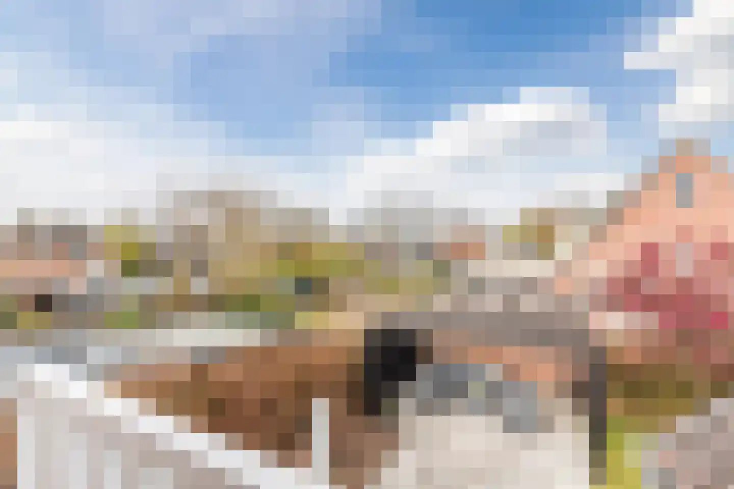 de Bryde 21 Netterden thumbnail 59