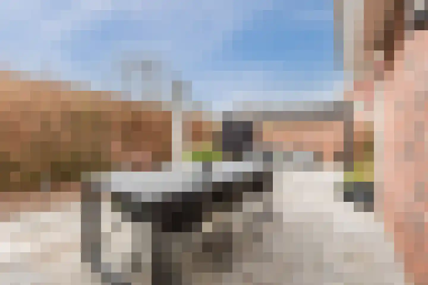 de Bryde 21 Netterden thumbnail 61