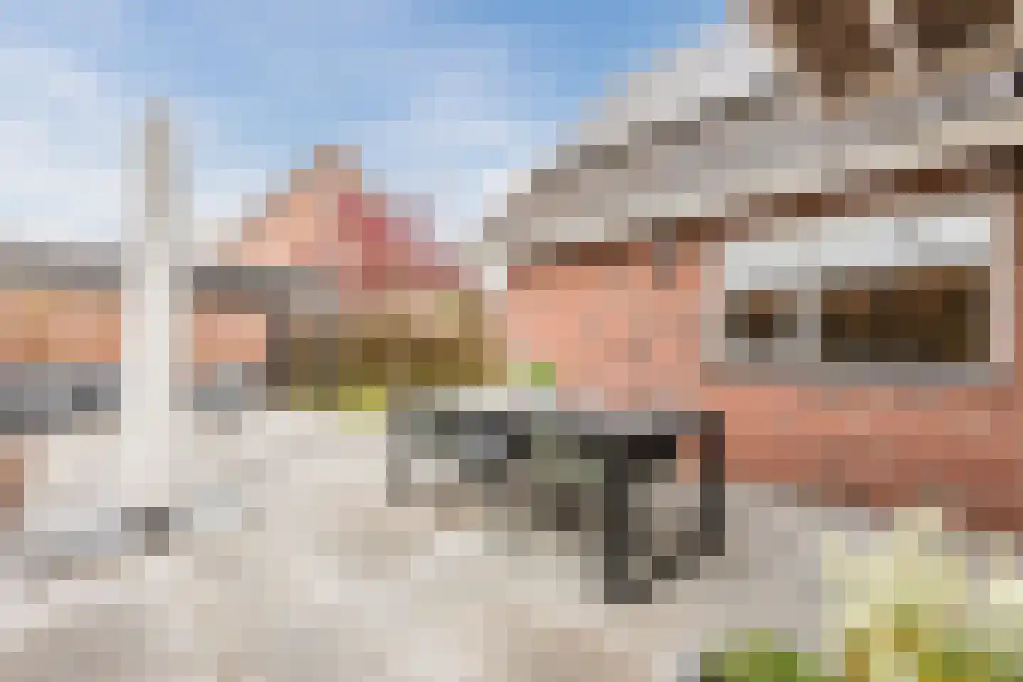 de Bryde 21 Netterden thumbnail 62