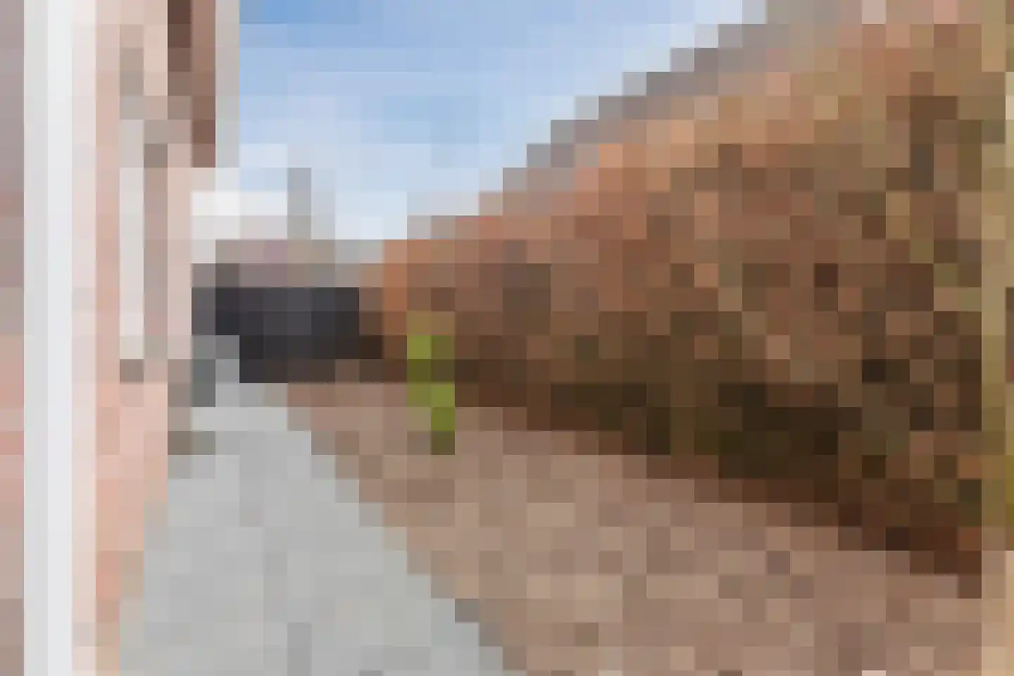 de Bryde 21 Netterden thumbnail 63